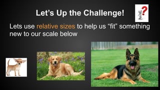 Let’s Up the Challenge!
Lets use relative sizes to help us “fit” something
new to our scale below
 