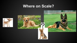 Where on Scale?
 