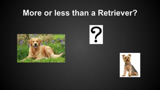 More or less than a Retriever?
 