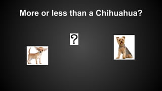 More or less than a Chihuahua?
 