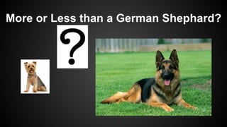 More or Less than a German Shephard?
 