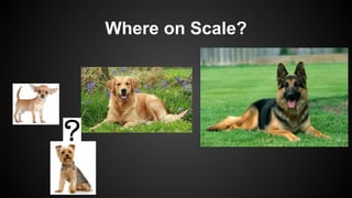 Where on Scale?
 