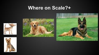 Where on Scale?+
 