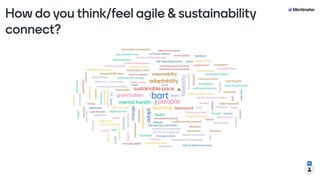 Agile Comes with a Responsibility for Sustainability: Are You Aware of it?
