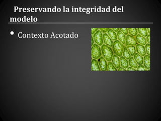 Preservando la integridad del
modelo
• Contexto Acotado
 