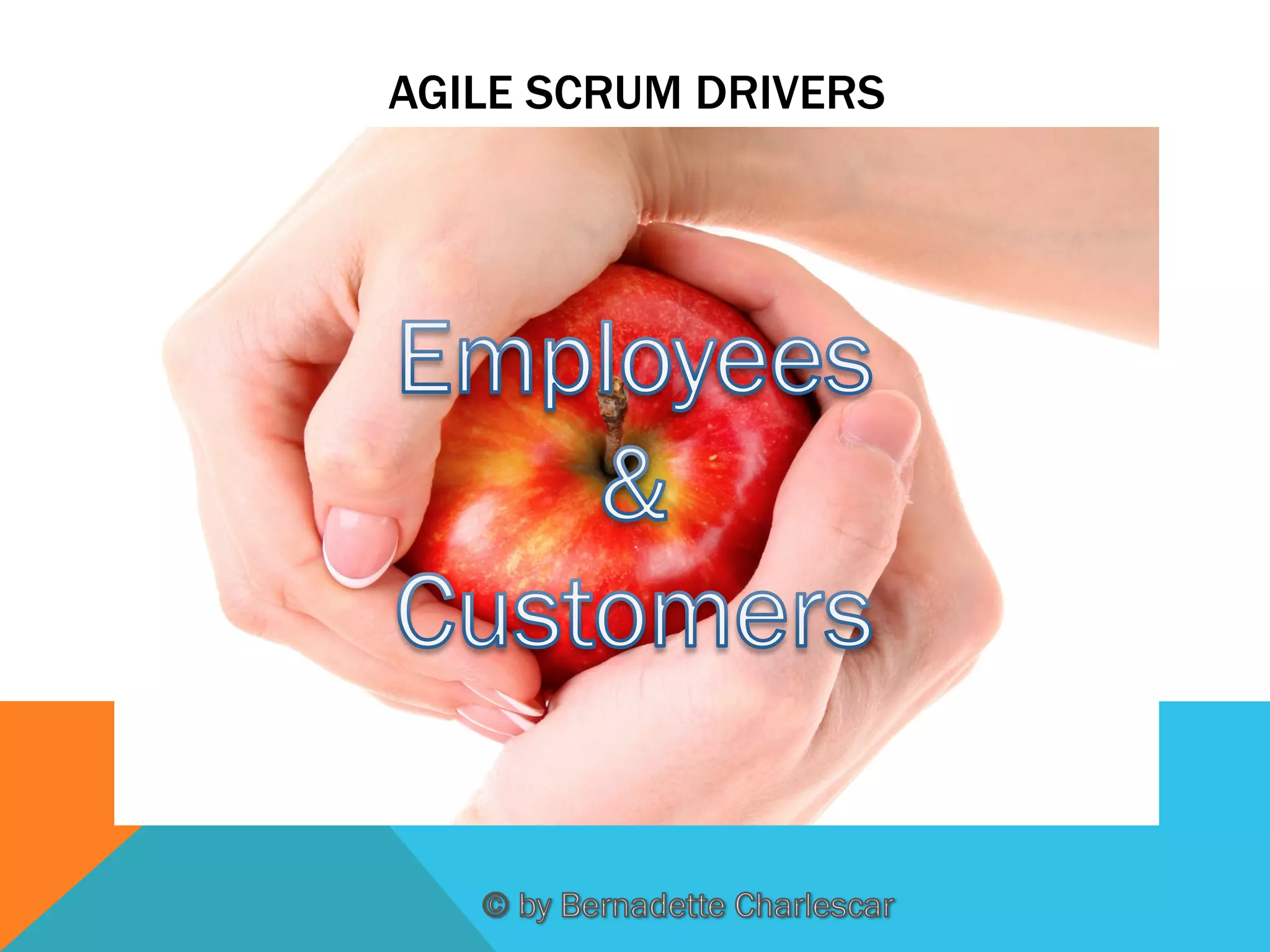AGILE SCRUM DRIVERS

 