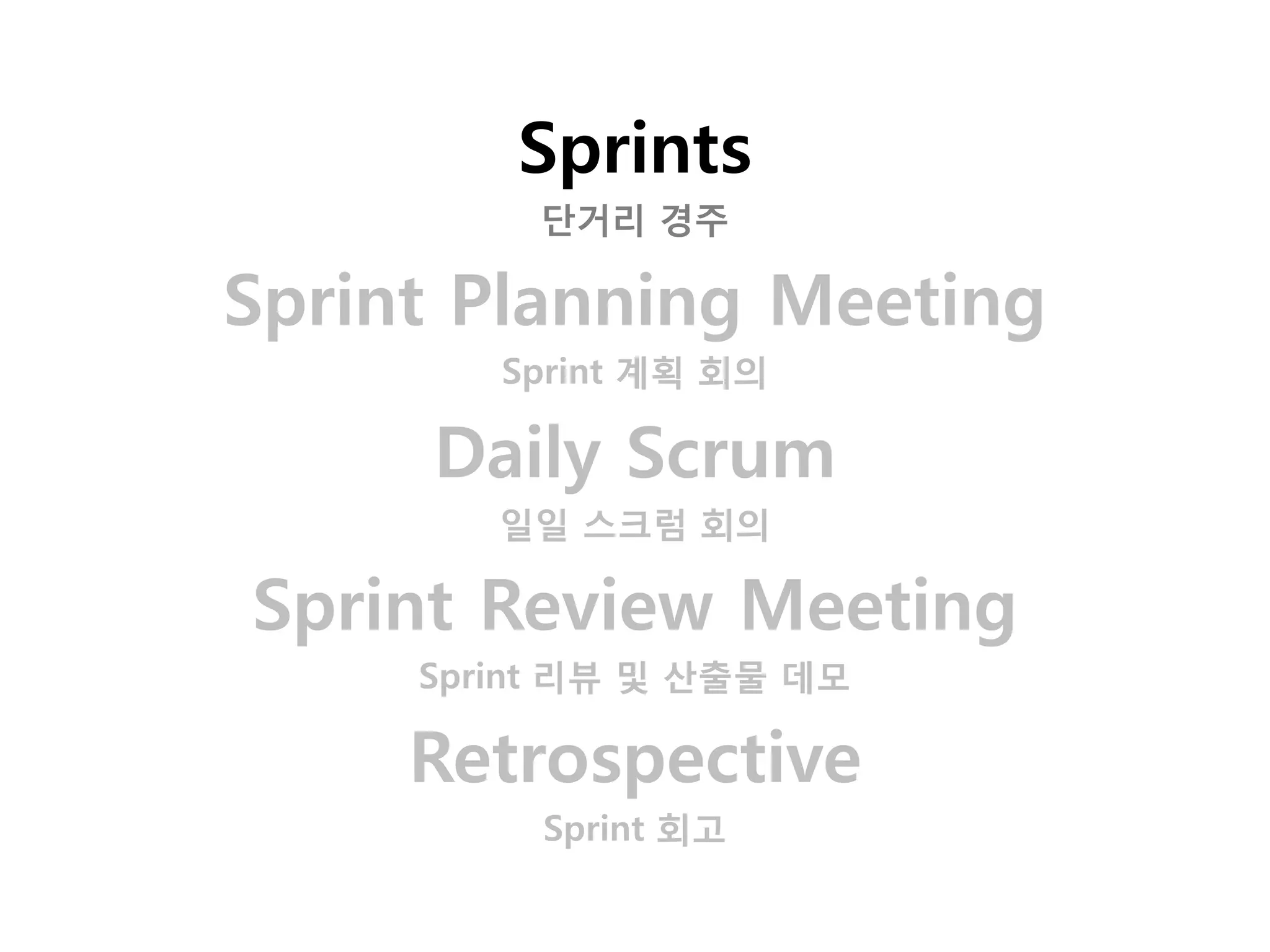 Sprints
          단거리 경주

Sprint Planning Meeting
        Sprint 계획 회의

     Daily Scrum
        일일 스크럼 회의

Sprint Review Meeting
     Sprint 리뷰 및 산출물 데모

     Retrospective
          Sprint 회고
 