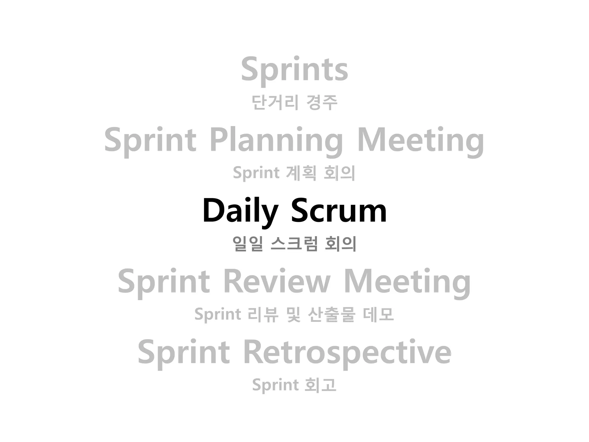 Sprints
          단거리 경주

Sprint Planning Meeting
        Sprint 계획 회의

      Daily Scrum
        일일 스크럼 회의

Sprint Review Meeting
     Sprint 리뷰 및 산출물 데모

  Sprint Retrospective
          Sprint 회고
 