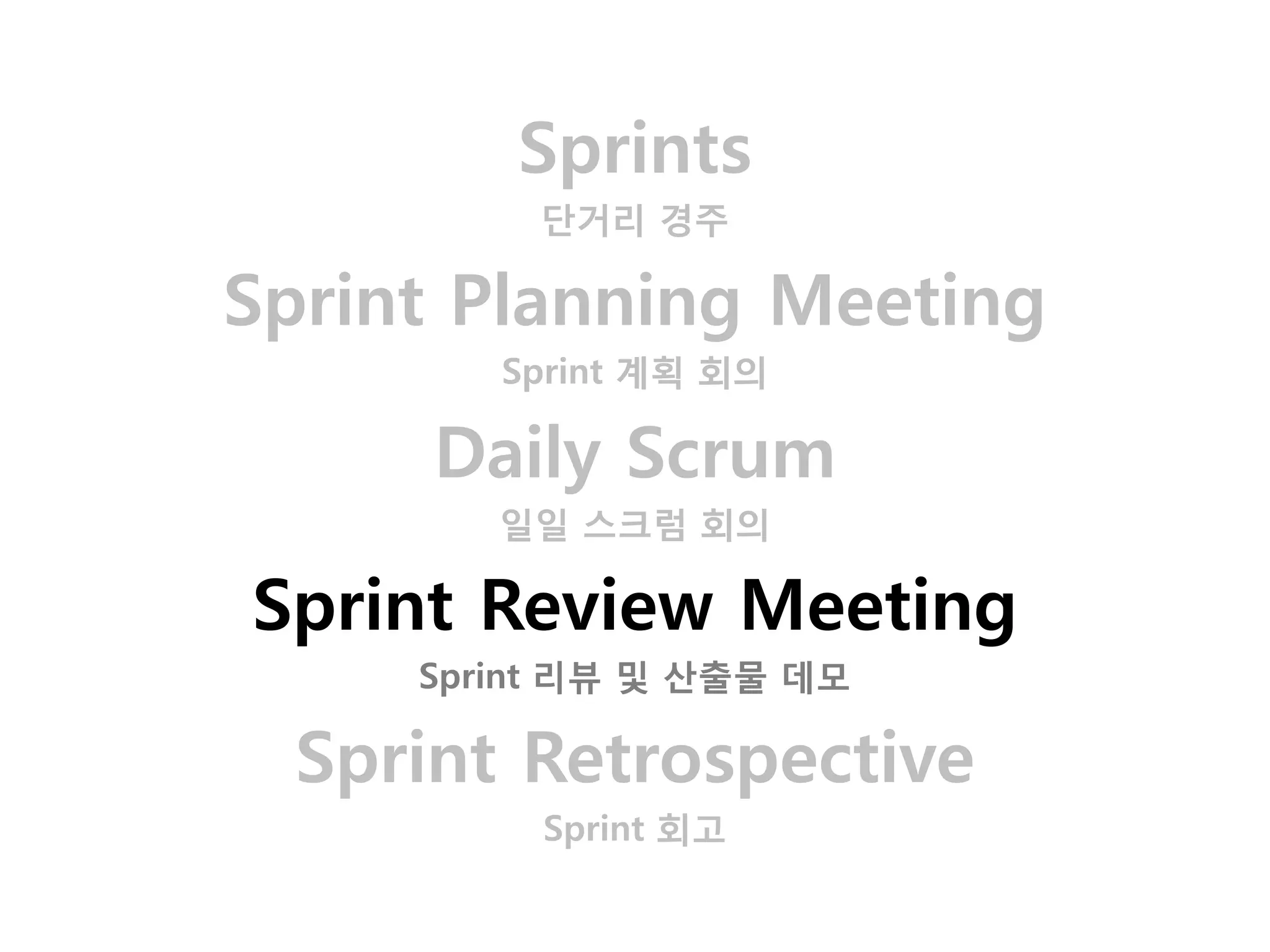 Sprints
          단거리 경주

Sprint Planning Meeting
        Sprint 계획 회의

      Daily Scrum
        일일 스크럼 회의

Sprint Review Meeting
     Sprint 리뷰 및 산출물 데모

  Sprint Retrospective
          Sprint 회고
 