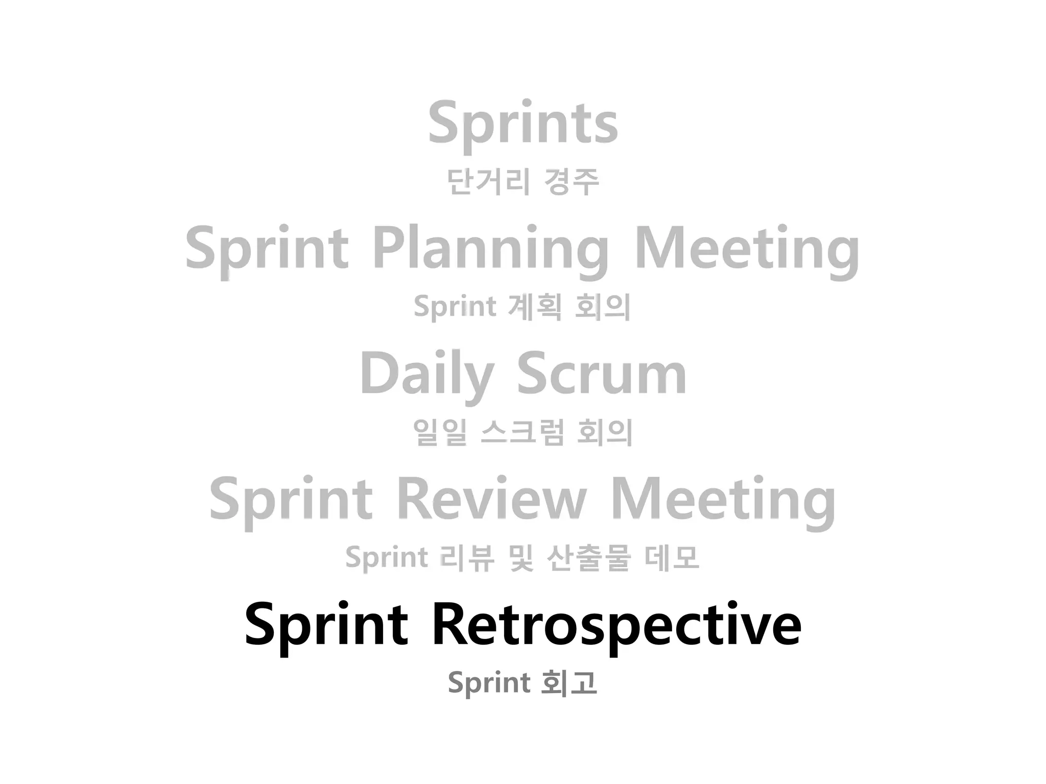 Sprints
          단거리 경주

Sprint Planning Meeting
        Sprint 계획 회의

      Daily Scrum
        일일 스크럼 회의

Sprint Review Meeting
     Sprint 리뷰 및 산출물 데모

  Sprint Retrospective
          Sprint 회고
 