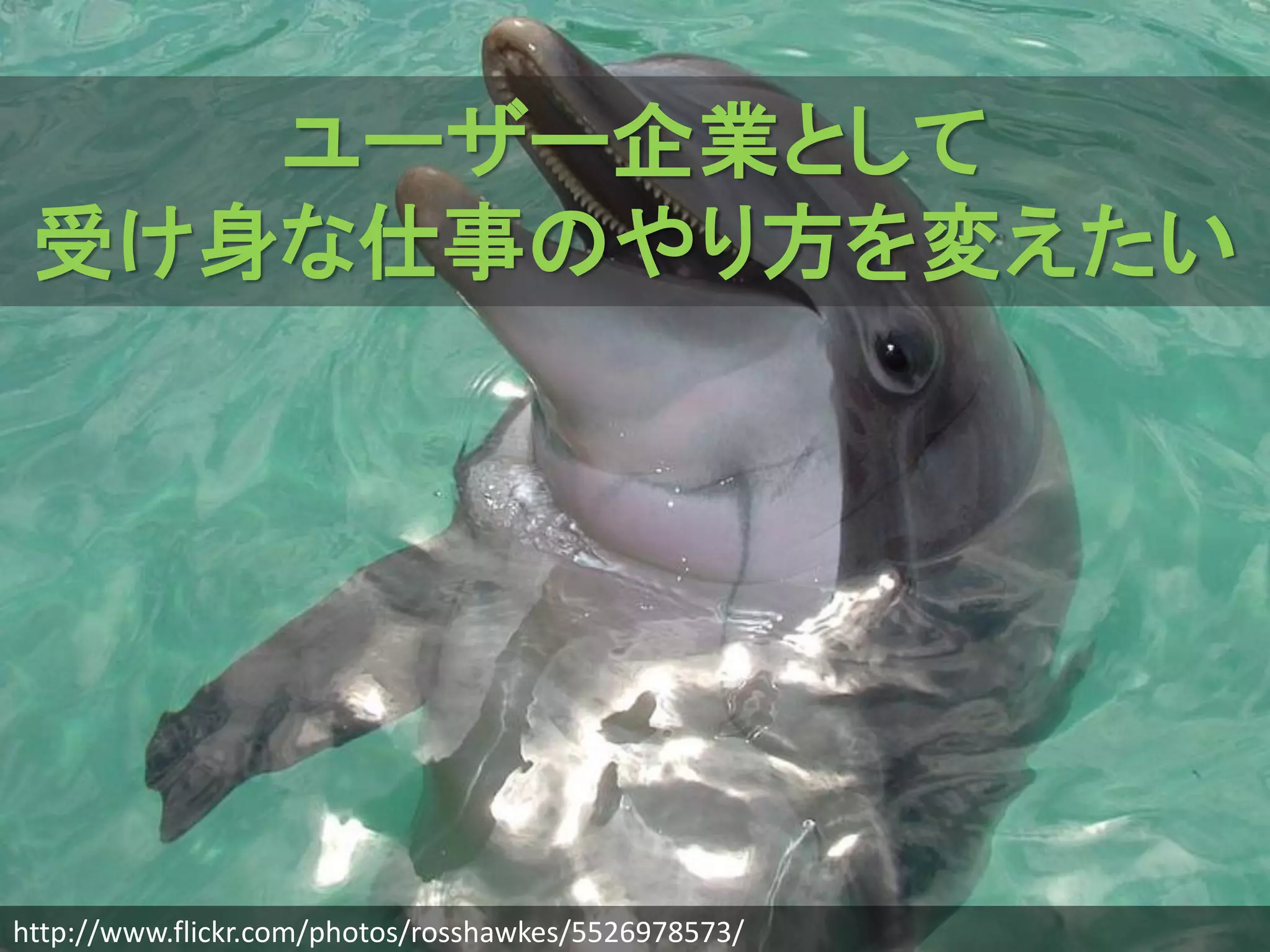ユーザー企業として
 受け身な仕事のやり方を変えたい




http://www.flickr.com/photos/rosshawkes/5526978573/
 