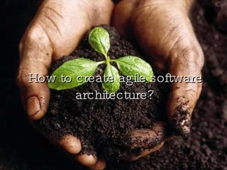 How to create agile software architecture? 