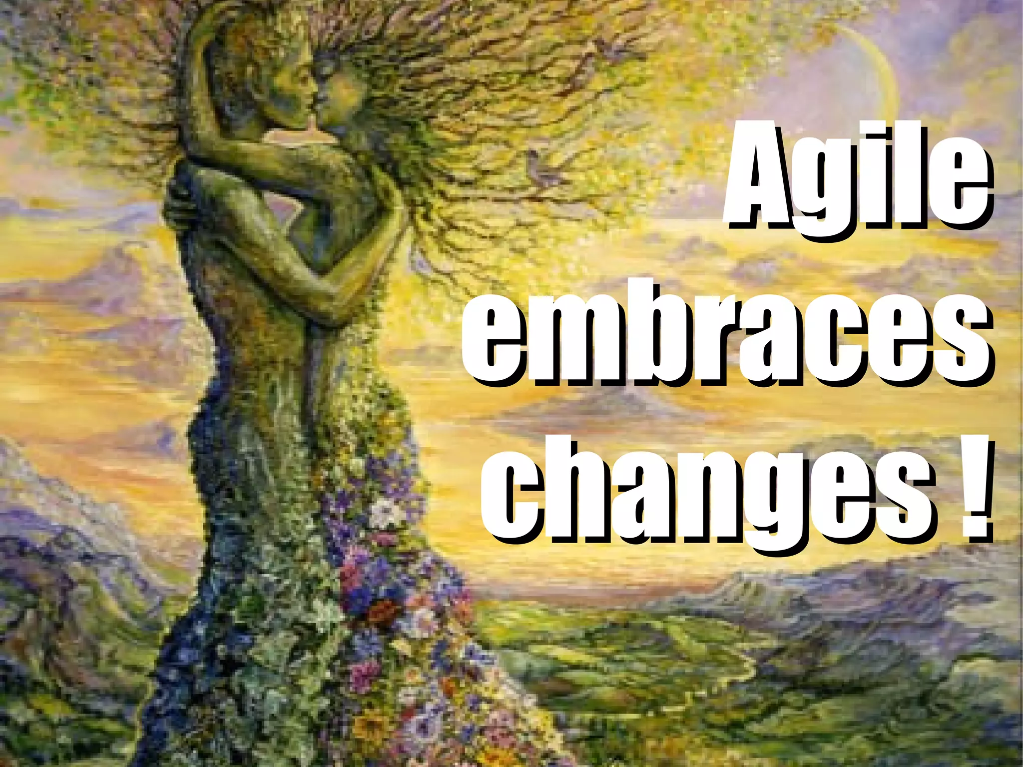 Agile
embraces
changes !
 