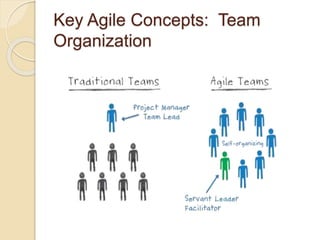 Key Agile Concepts: Team
Organization
 