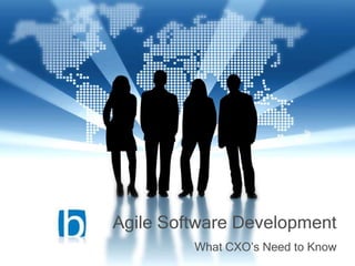 Agile Software Development
         What CXO’s Need to Know
 