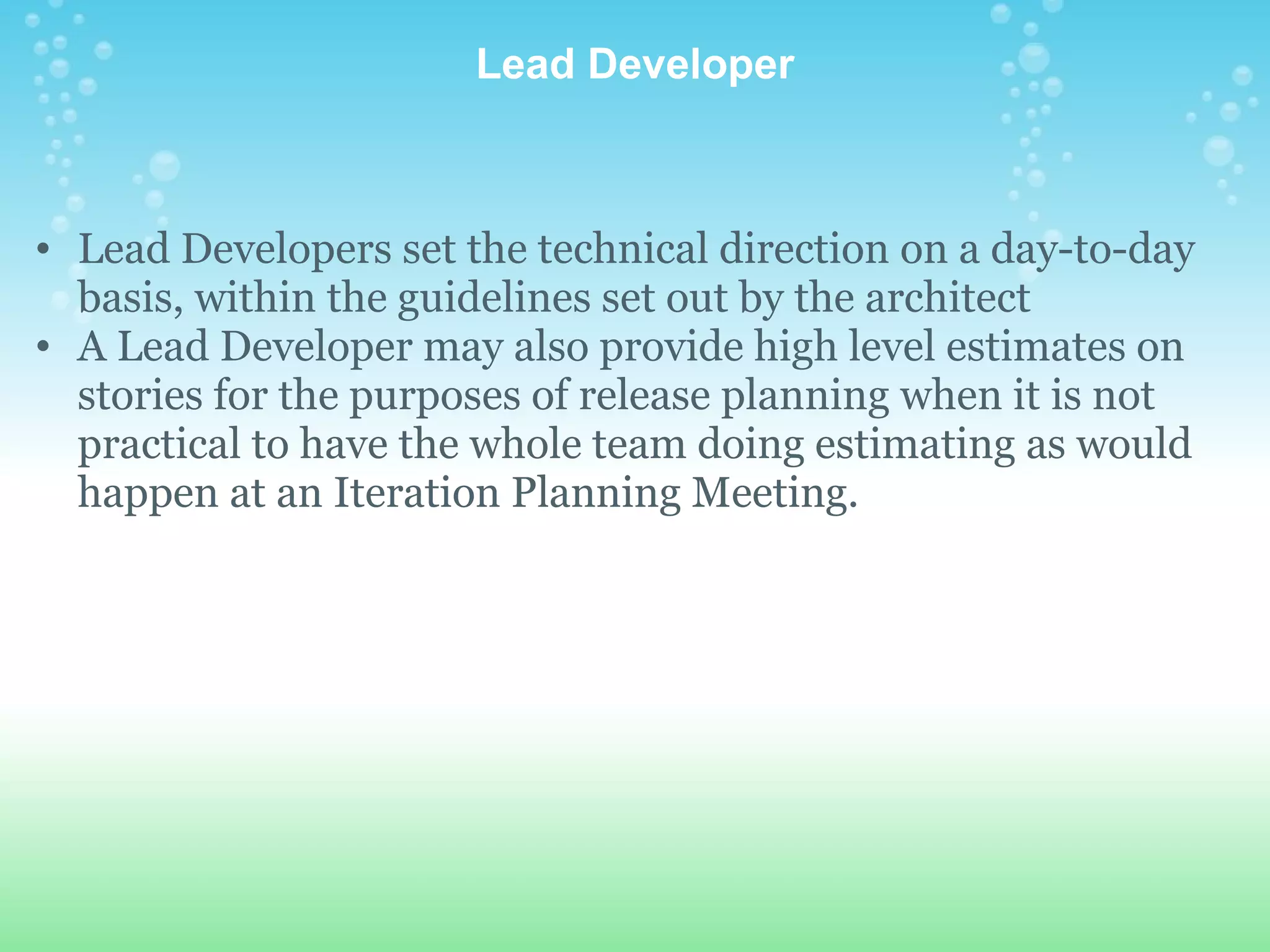 Lead Developer Lead Developers set the technical direction on a day-to-day basis, within the guidelines set out by the architect A Lead Developer may also provide high level estimates on stories for the purposes of release planning when it is not practical to have the whole team doing estimating as would happen at an Iteration Planning Meeting. 