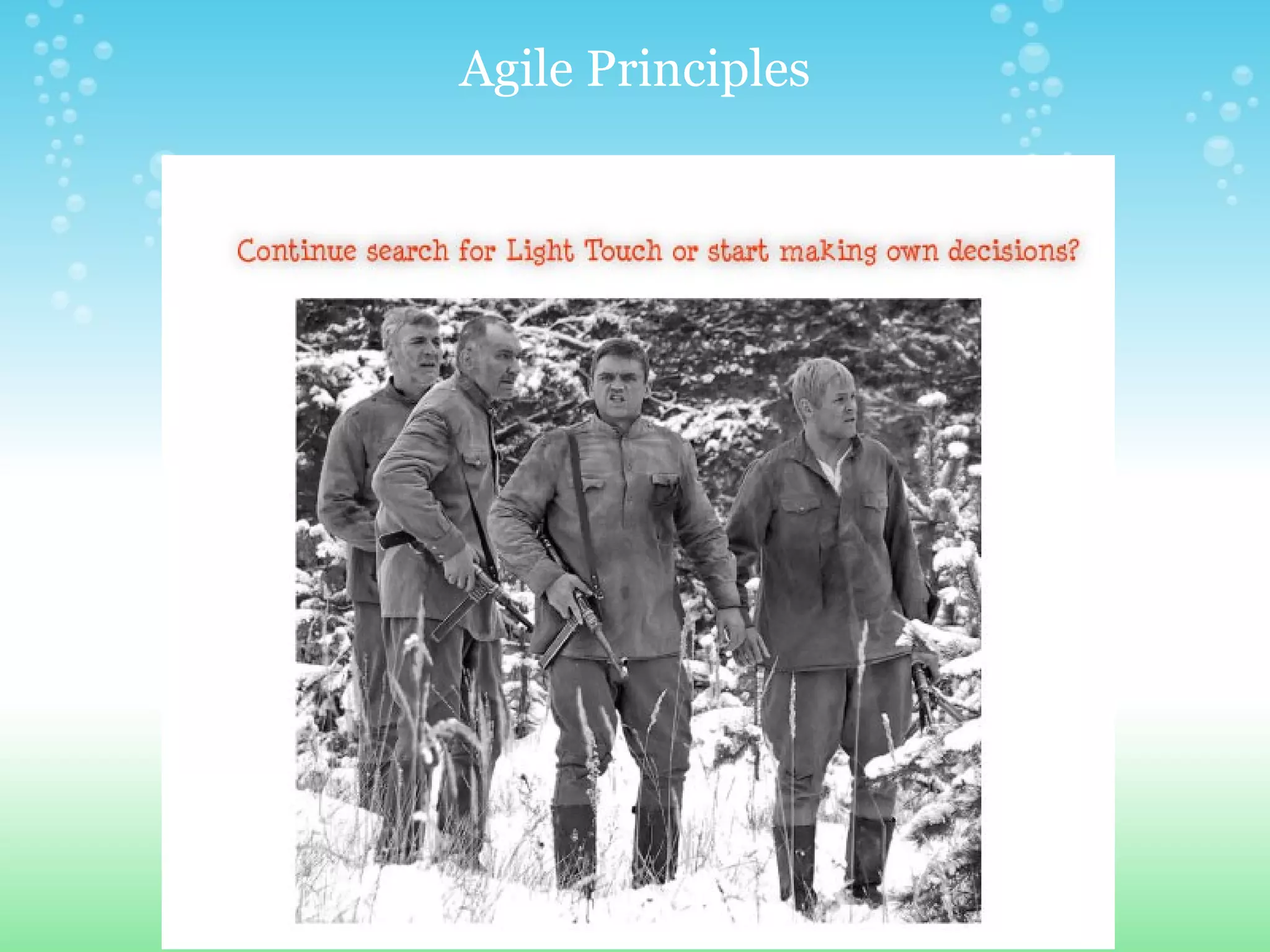 Agile Principles 