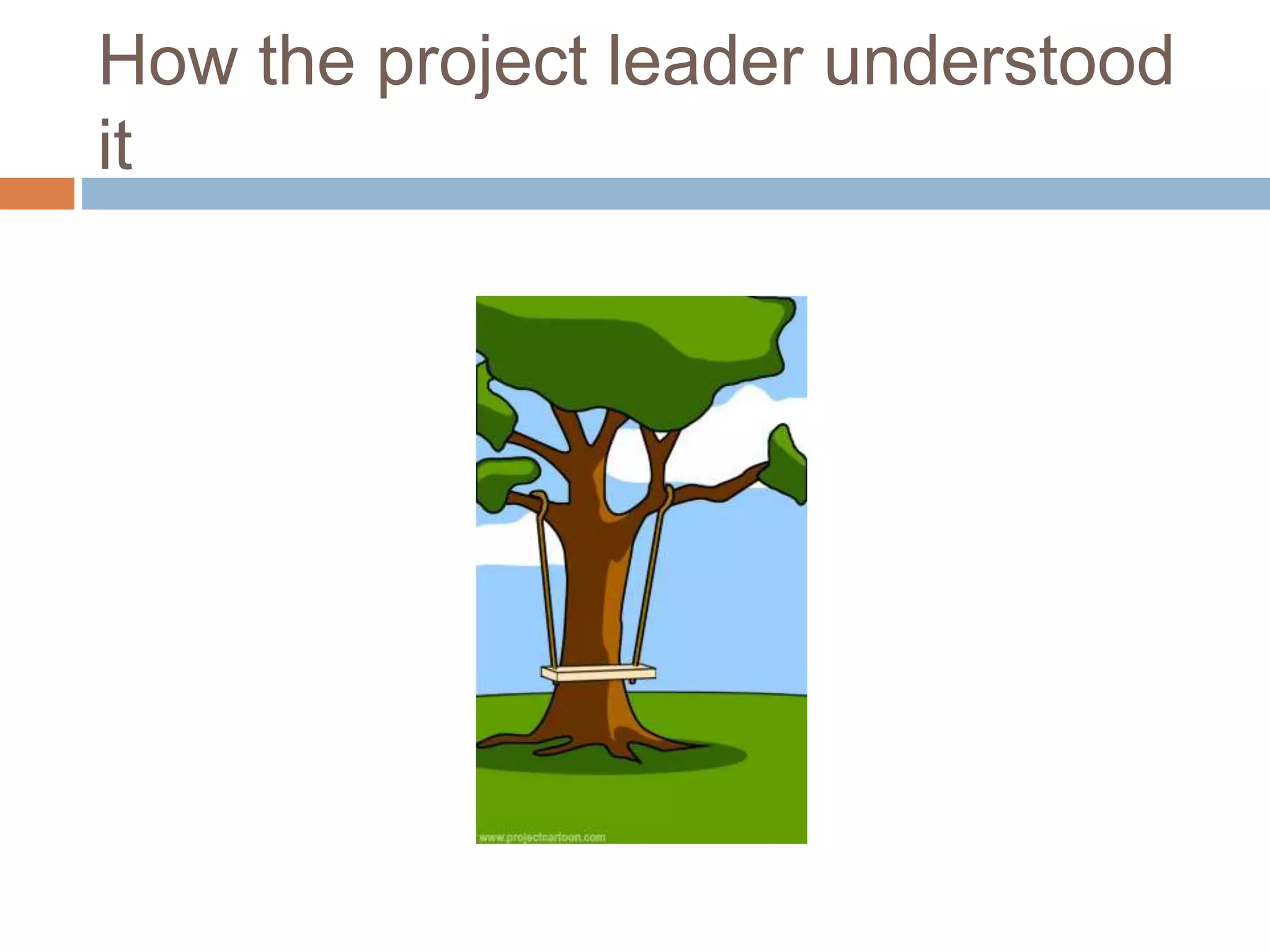 How the project leader understood it 
