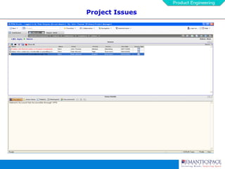 Project Issues 