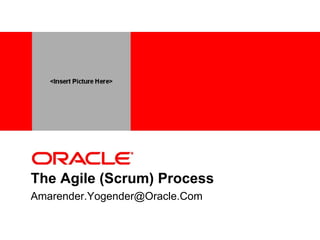 The Agile (Scrum) Process [email_address] 
