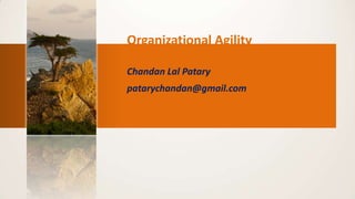 Organizational Agility
Chandan Lal Patary
patarychandan@gmail.com

 