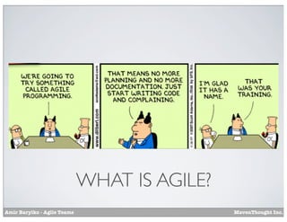 WHAT IS AGILE?
Amir Barylko - Agile Teams

MavenThought Inc.

 