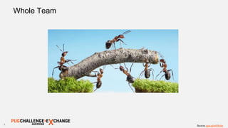 9
Source: goo.gl/mF9Vhz
Whole Team
 