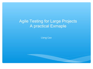 Agile Testing for Large Projects
A practical Exmaple
Liang Gao
 