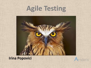 Agile Testing
Irina Popovici
 