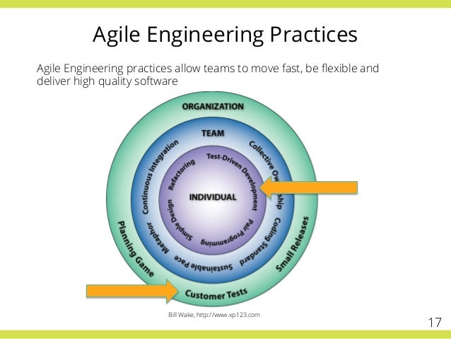 agile environment