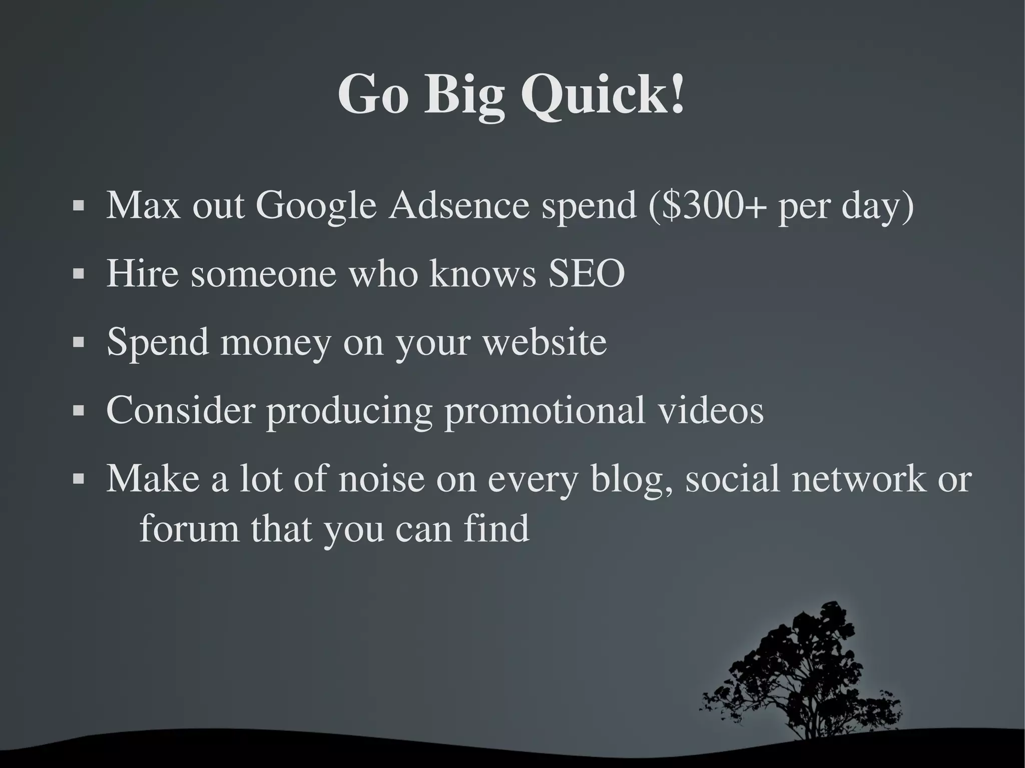 Go Big Quick!
   Max out Google Adsence spend ($300+ per day)
   Hire someone who knows SEO
   Spend money on your website
   Consider producing promotional videos
   Make a lot of noise on every blog, social network or 
     forum that you can find




                       
 