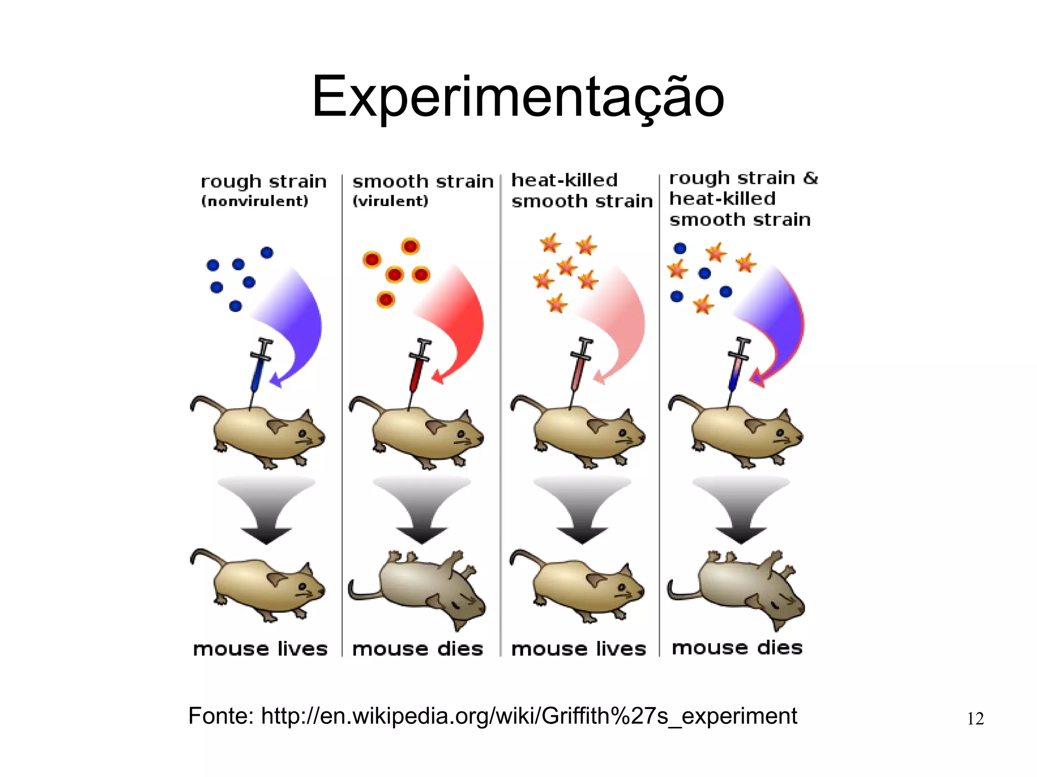 Experimentação

Fonte: http://en.wikipedia.org/wiki/Griffith%27s_experiment

12

 