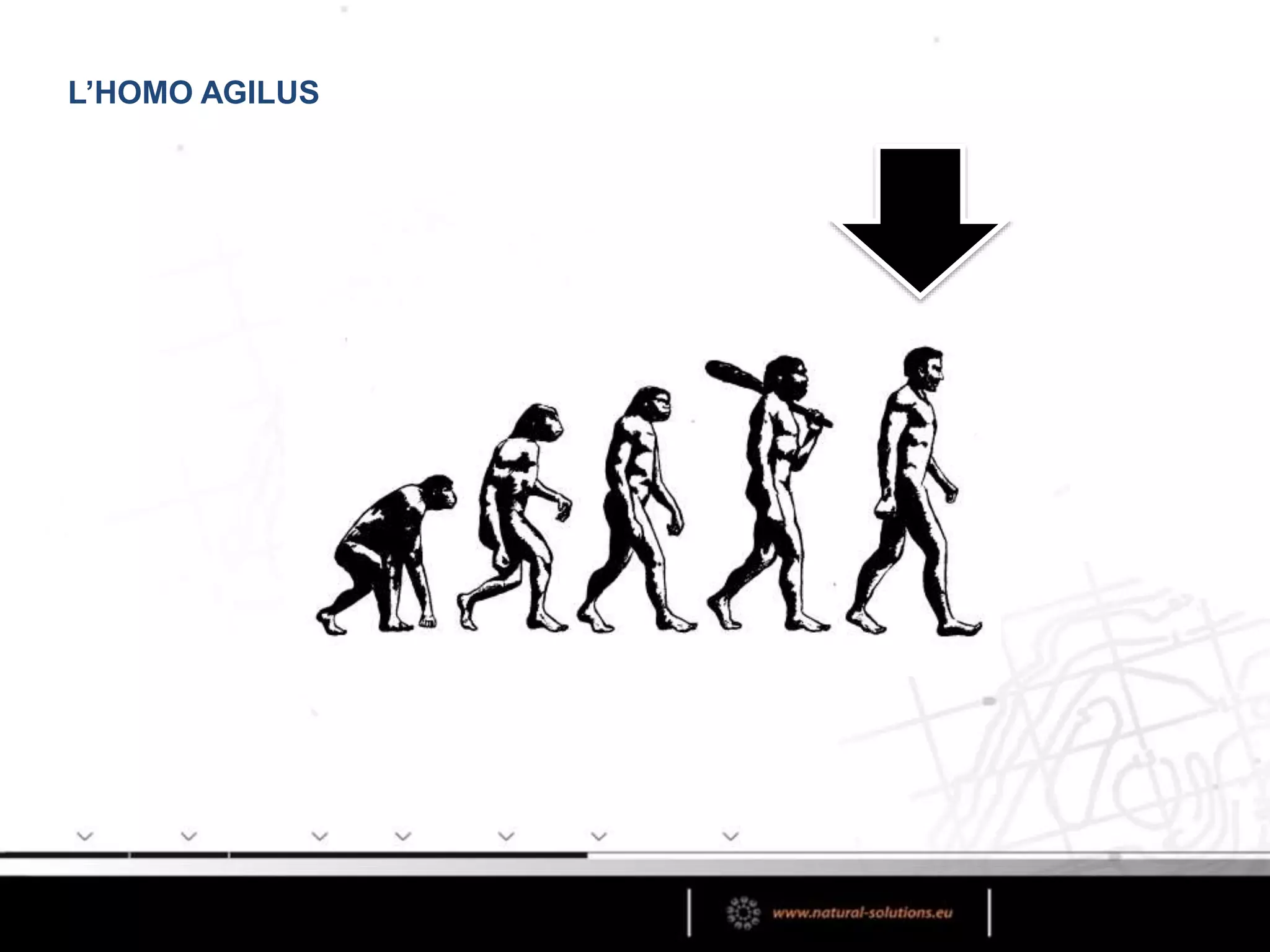 L’HOMO AGILUS
 