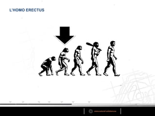 L’HOMO ERECTUS
 