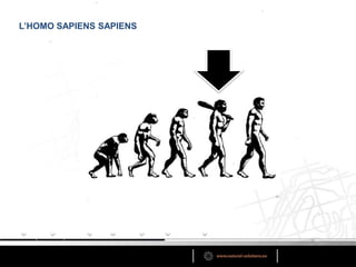 L’HOMO SAPIENS SAPIENS
 