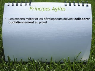 Principes Agiles
• Les experts métier et les développeurs doivent collaborer
  quotidiennement au projet
 