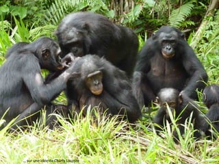 … sur une idée de Charly Lacoste

Slide 23

 