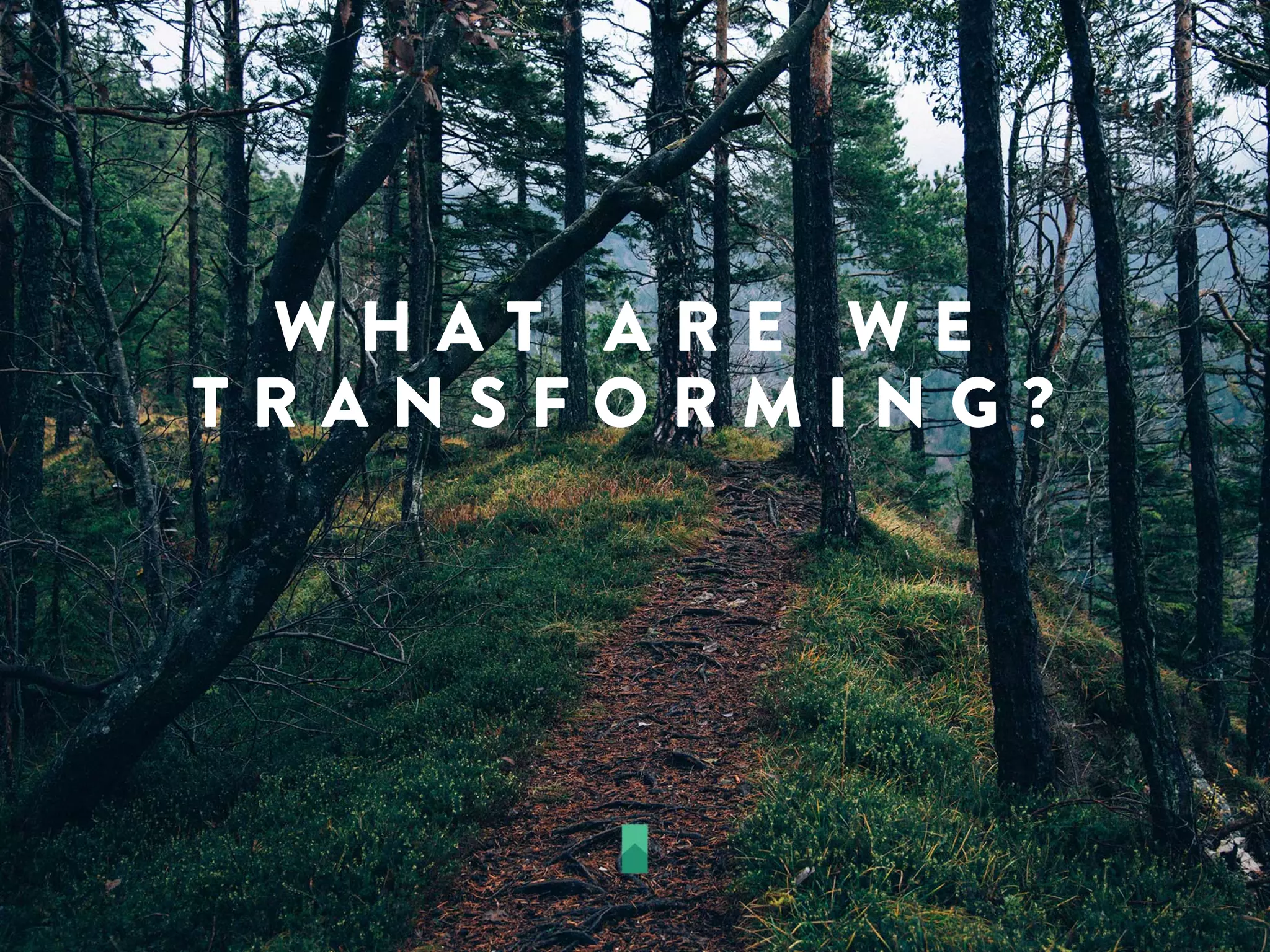 W H A T A R E W E
T R A N S F O R M I N G ?
 