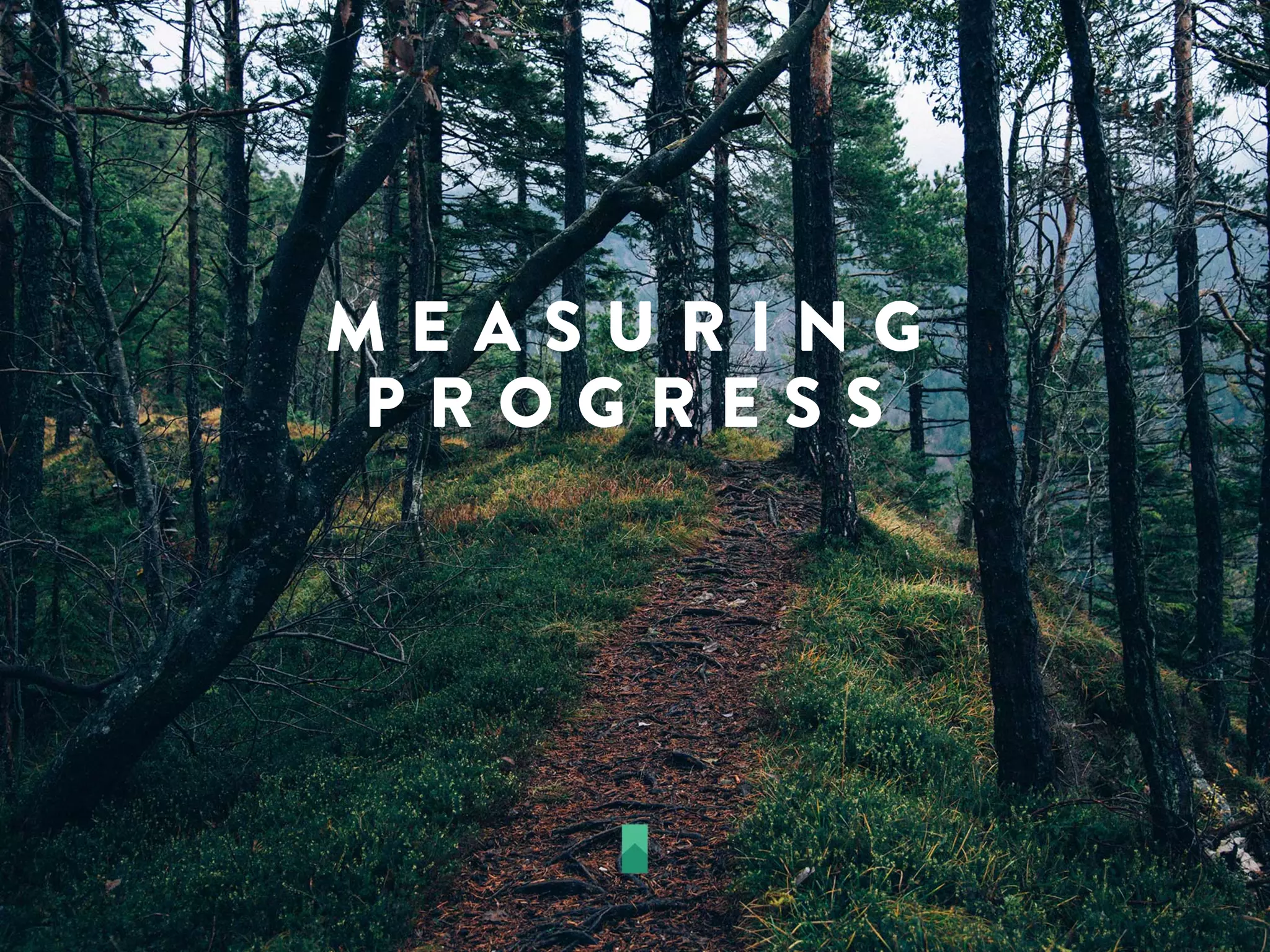 M E A S U R I N G
P R O G R E S S
 