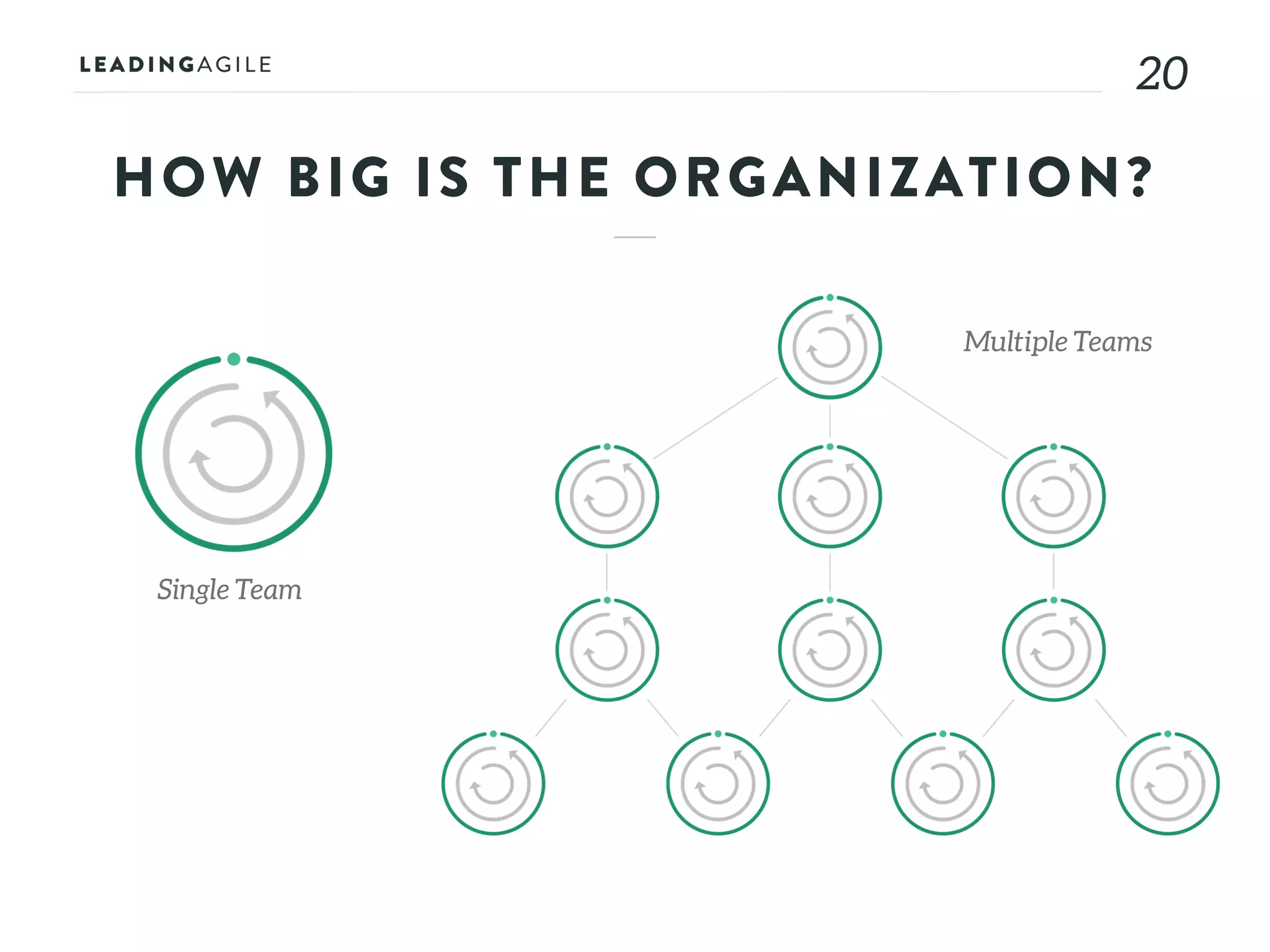 2020
HOW BIG IS THE ORGANIZATION?
Single Team
Multiple Teams
 
