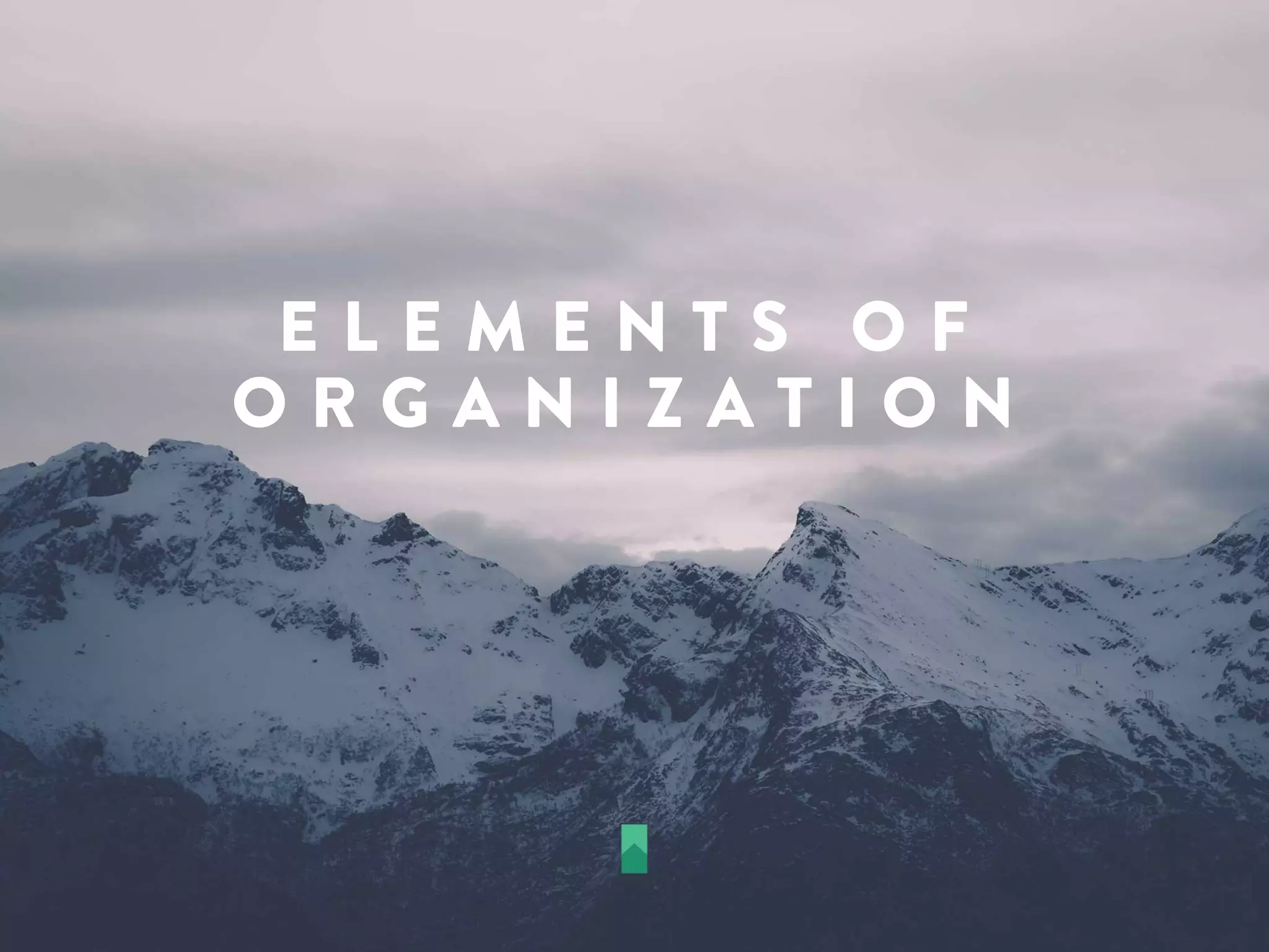 E L E M E N T S O F
O R G A N I Z A T I O N
 
