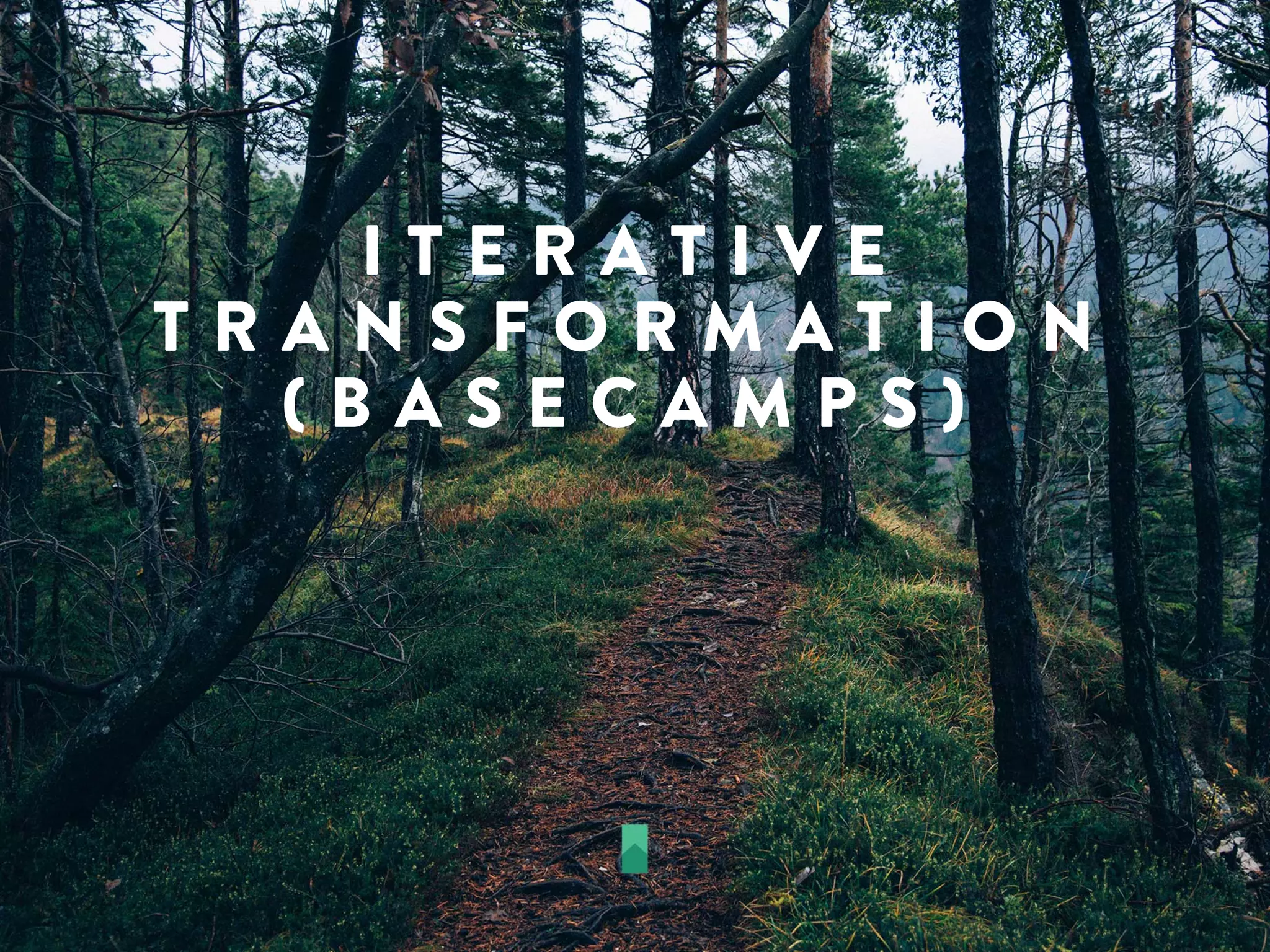I T E R A T I V E
T R A N S F O R M A T I O N
( B A S E C A M P S )
 