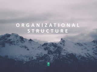 O R G A N I Z A T I O N A L
S T R U C T U R E
 