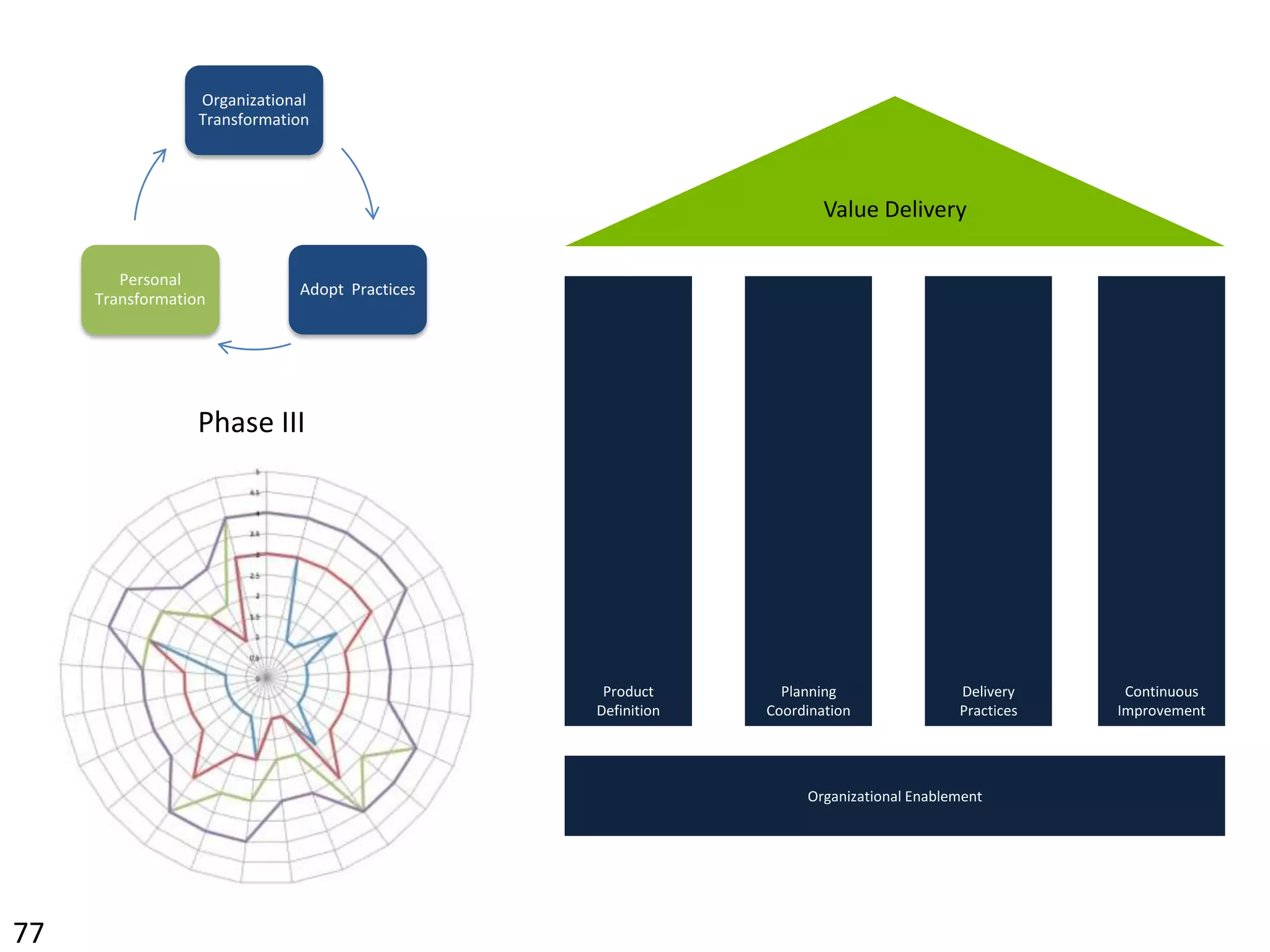Applying the Competency Model at Different Levels of Scale