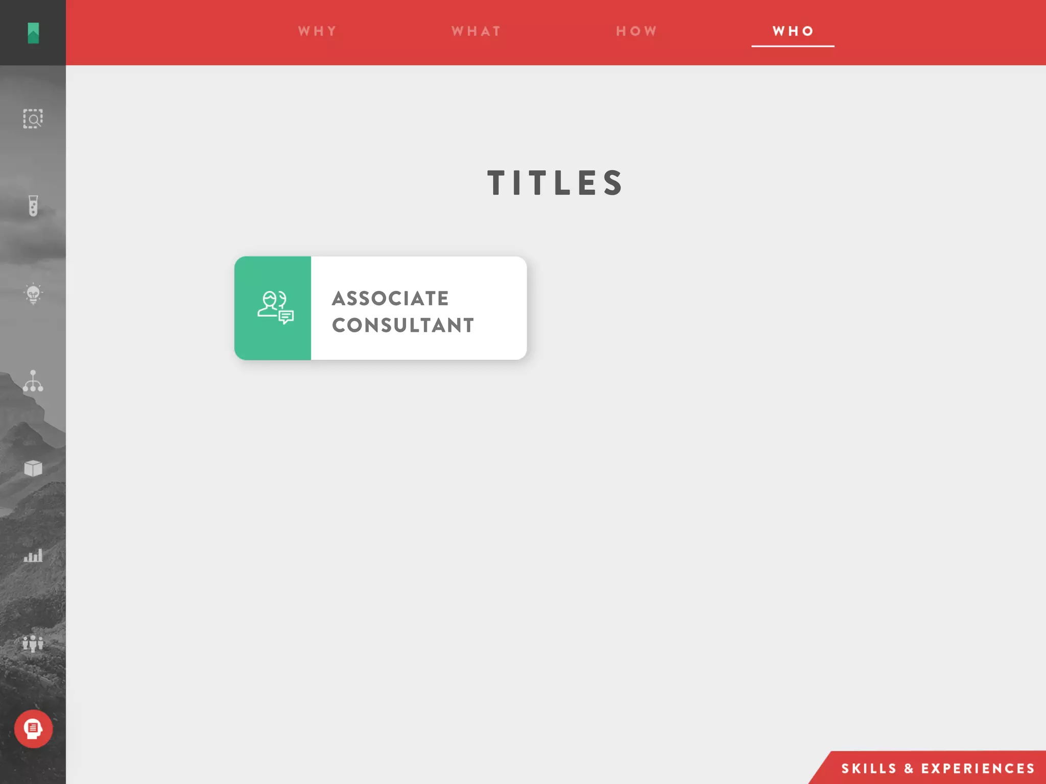 ASSOCIATE
CONSULTANT
T I T L E S
 