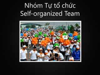 Nhóm Tự tổ chức
Self-organized Team
 