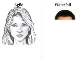 Agile Waterfall 
 