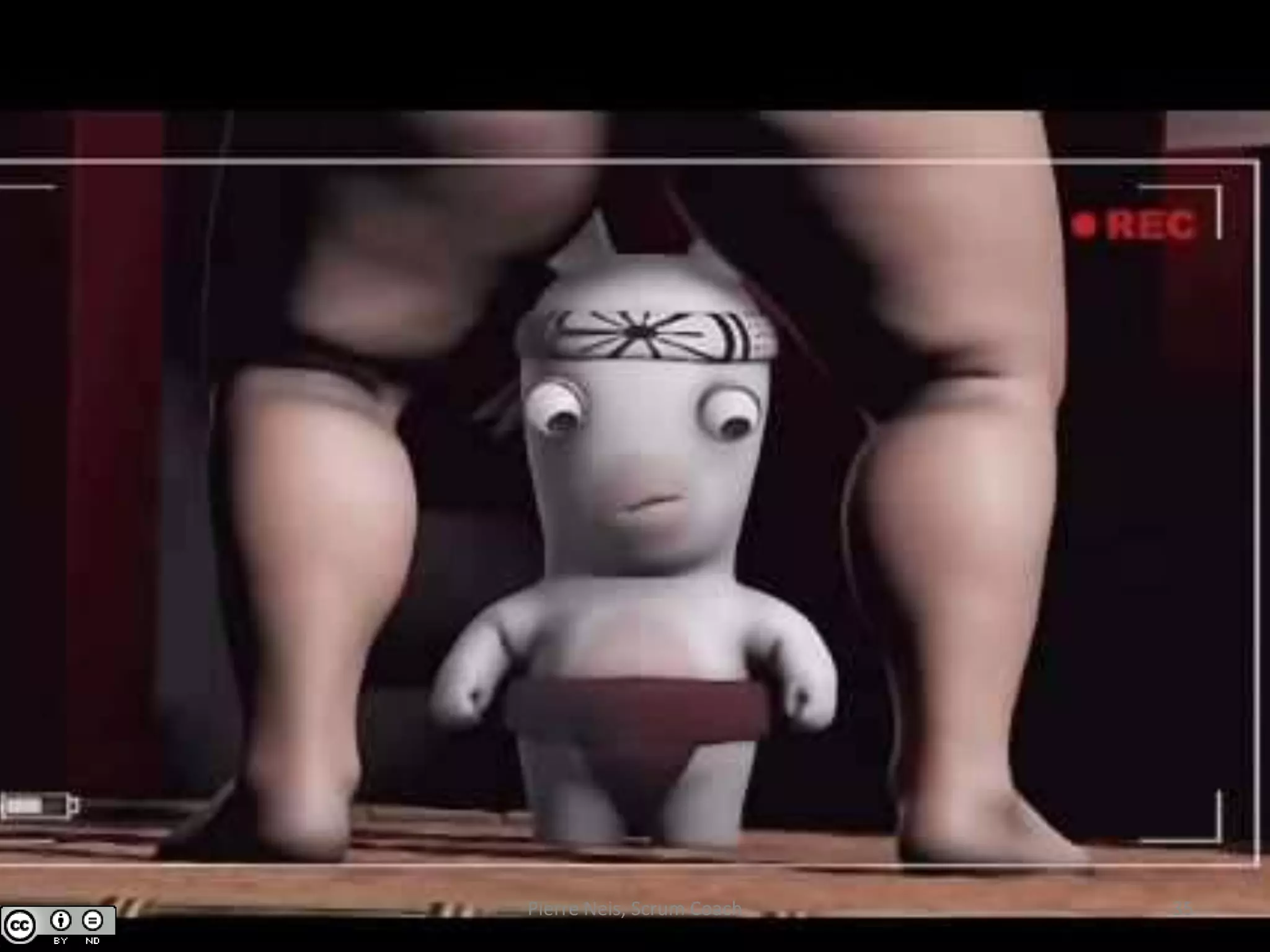 Pierre Neis, Scrum Coach 35
 