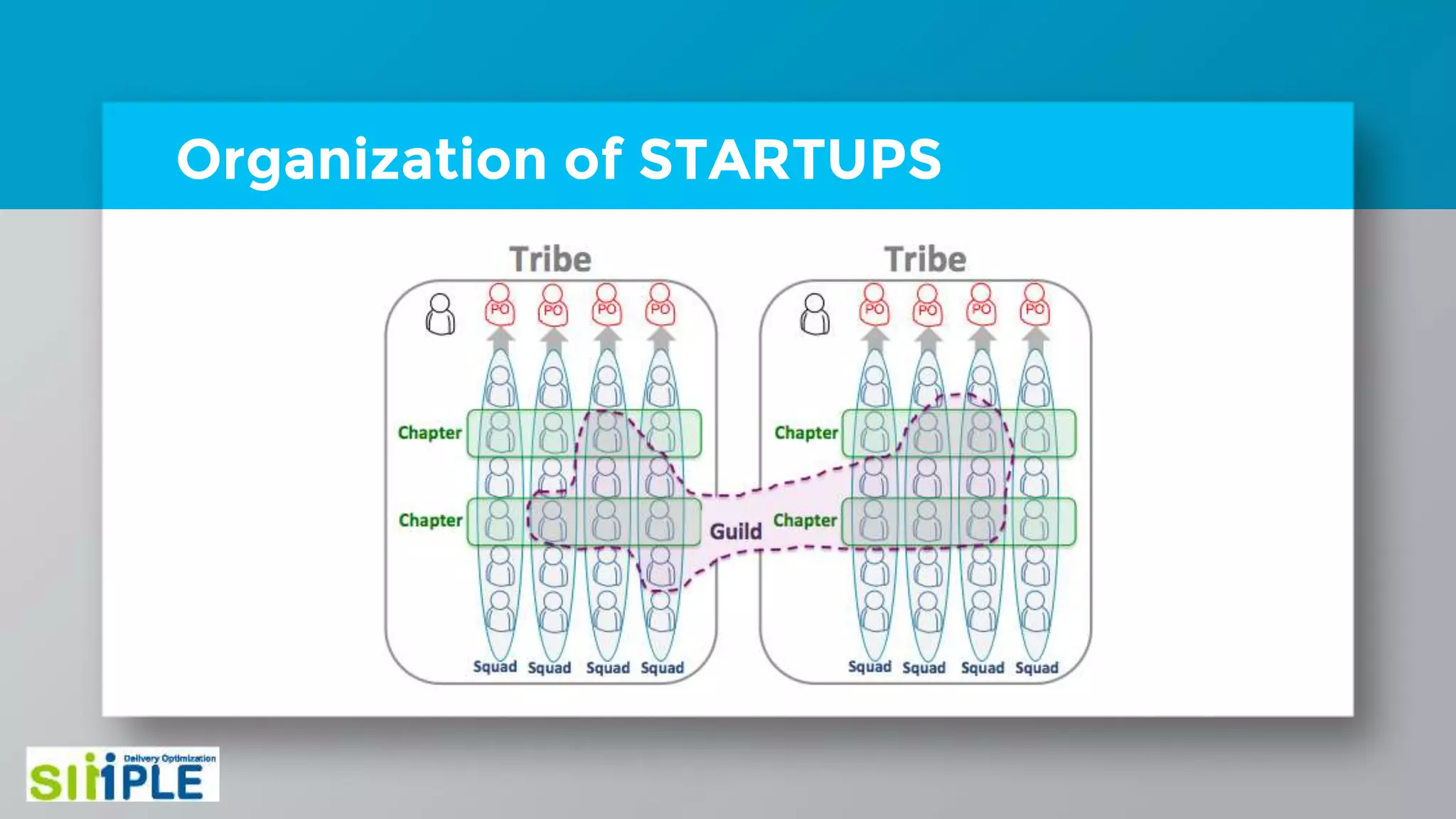 Organization of STARTUPS
 