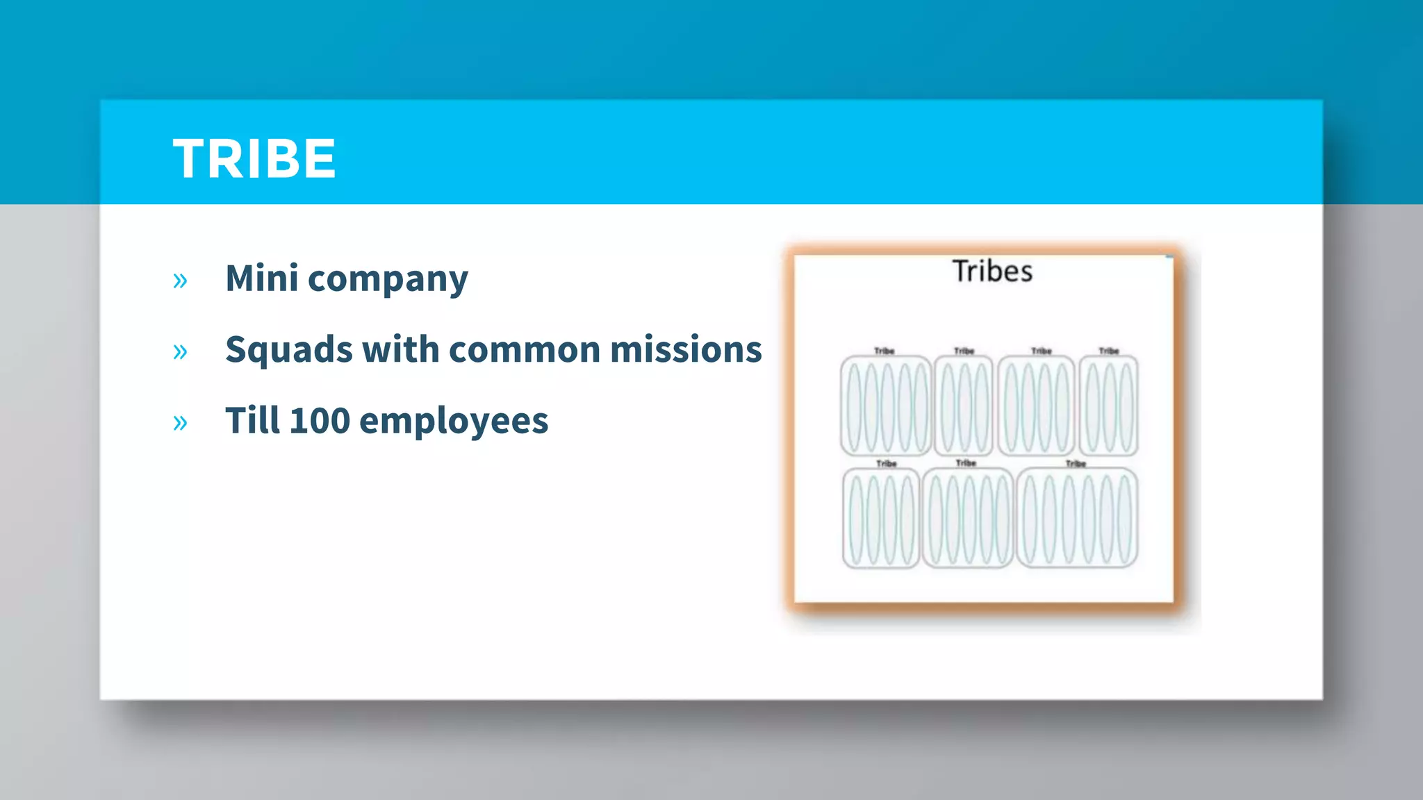 TRIBE
» Mini company
» Squads with common missions
» Till 100 employees
 